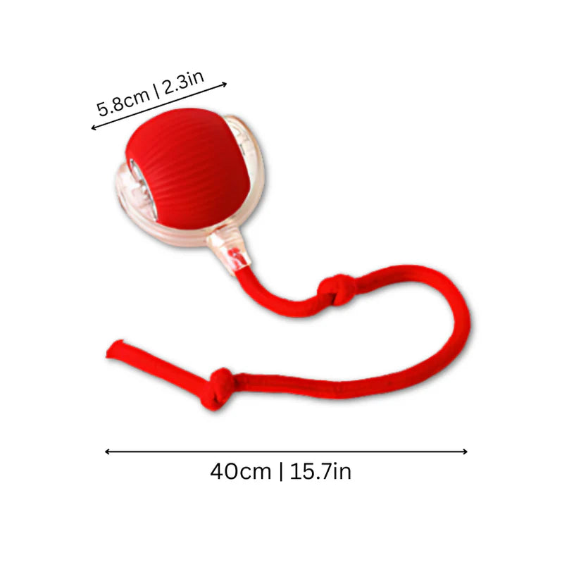 ActivePaws katten / honden interactief speelgoed